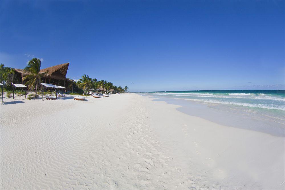 Las Ranitas Eco Boutique Hotel Tulum Exteriör bild