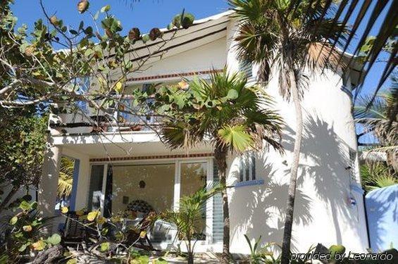 Las Ranitas Eco Boutique Hotel Tulum Exteriör bild
