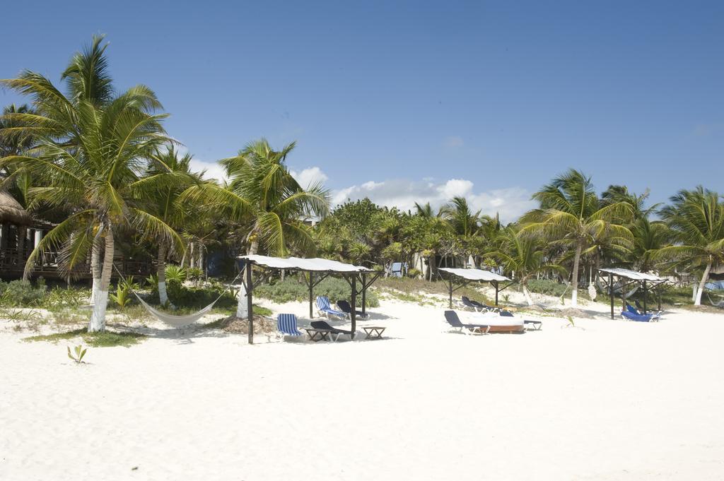Las Ranitas Eco Boutique Hotel Tulum Rum bild