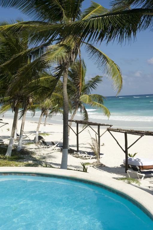 Las Ranitas Eco Boutique Hotel Tulum Rum bild