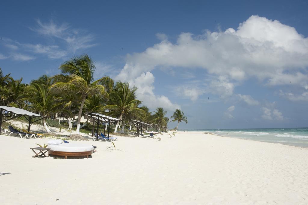 Las Ranitas Eco Boutique Hotel Tulum Rum bild