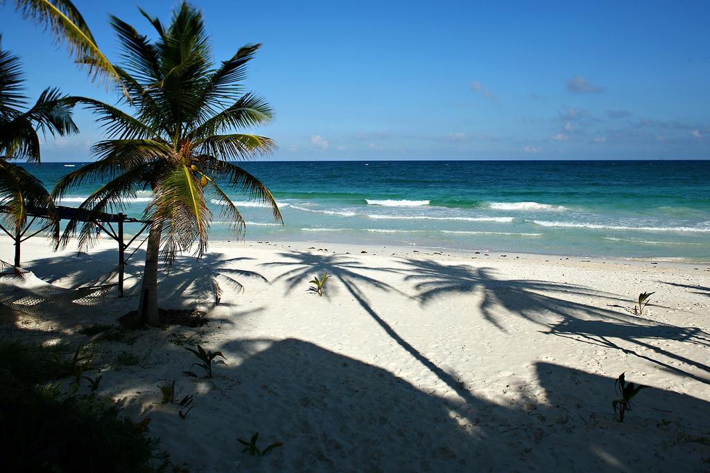 Las Ranitas Eco Boutique Hotel Tulum Exteriör bild